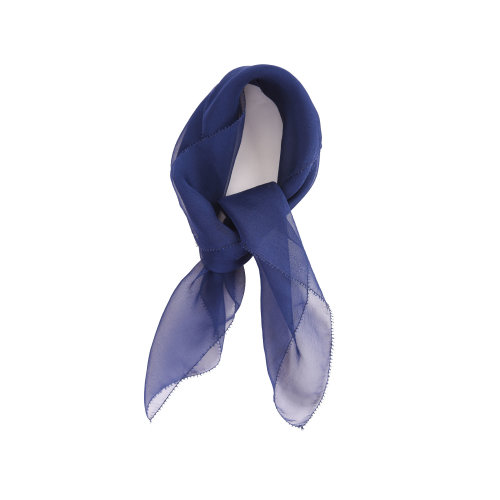 nisiss/怡夕围巾N163SR05