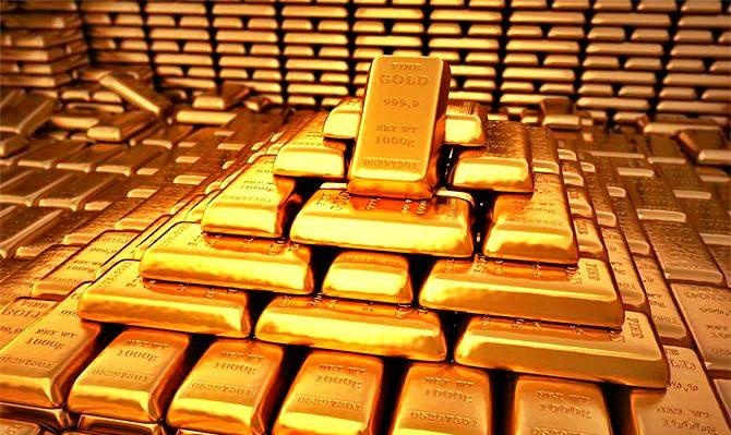 1691029113159846.jpeg a20e248193874412b2b8e6a8e77426dd.jpeg