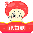 小白菇