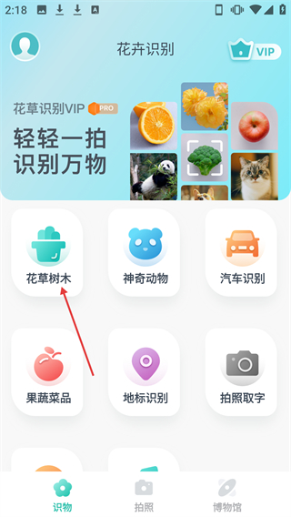 花卉识别