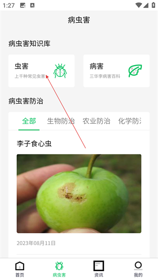 八步三华李产业分析