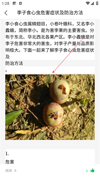 八步三华李产业分析