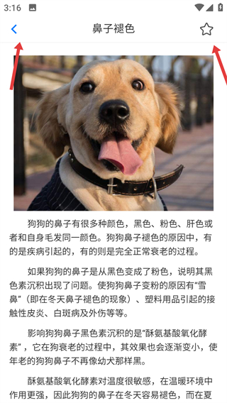 犬卫士