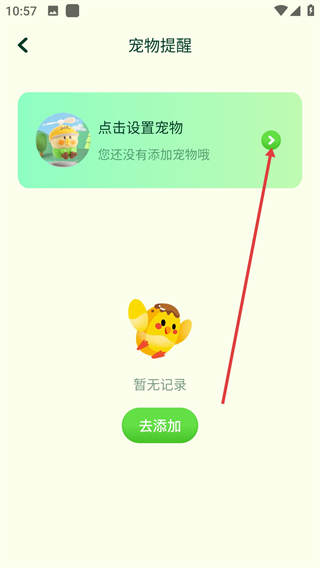 鹦鹉翻译器