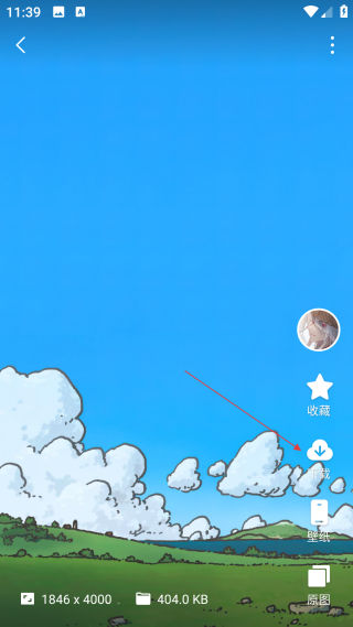 汽水壁纸2026安卓最新版本