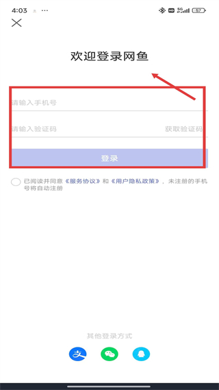 网鱼app