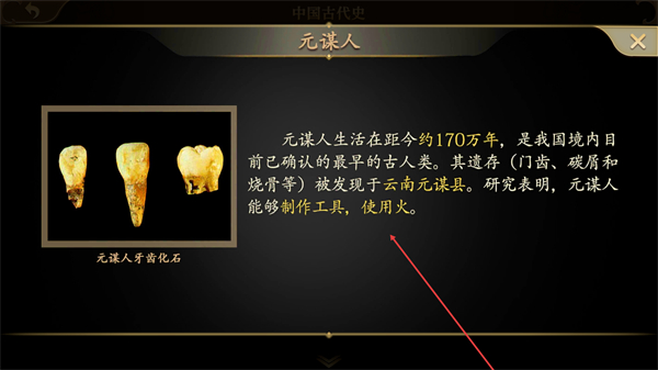 妙懂历史app免费版