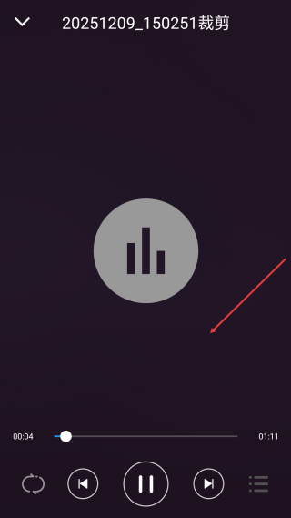 全能音乐播放器纯净版