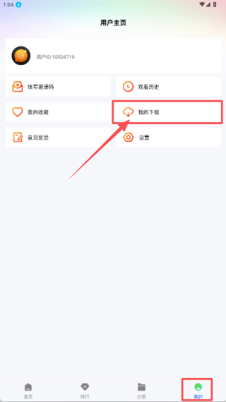 森林视频免费版
