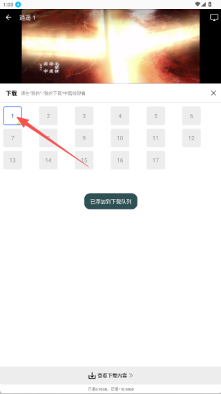 森林视频免费版