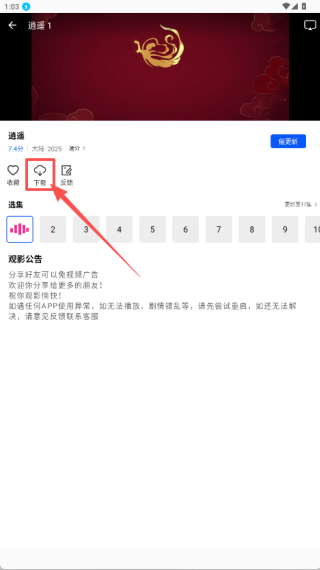 森林视频免费版