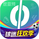 爱奇艺体育安卓版