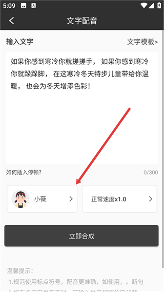 视频配音生成器