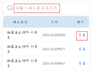 青鸽网App