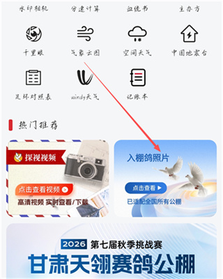 青鸽网App