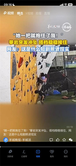 羊城派