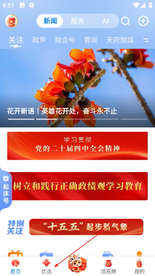 攀枝花开
