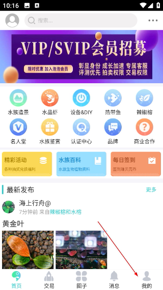 泡泡水族