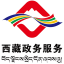 西藏政务