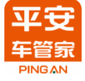 平安车管家