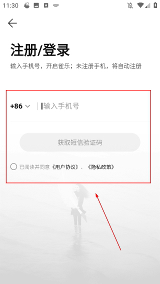 雀乐音乐