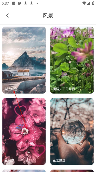 手机彩铃免费版