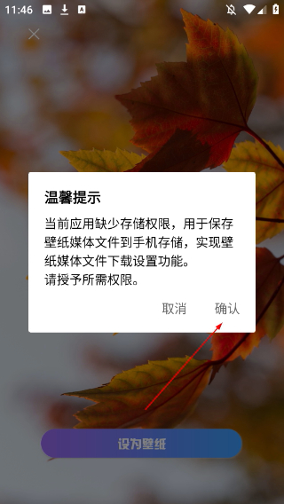 口袋免费壁纸