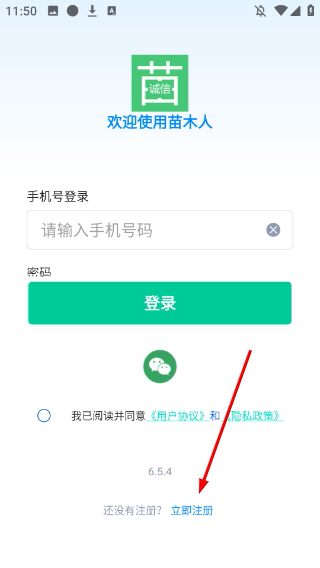 苗木人