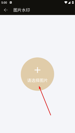 去水印大师免费版