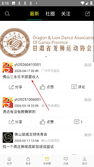龙情狮义