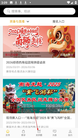 龙情狮义
