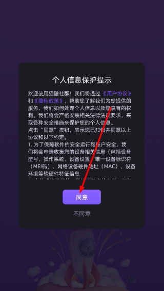 猫鼬社群