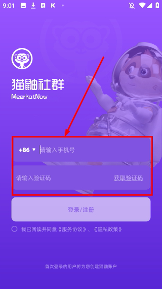 猫鼬社群