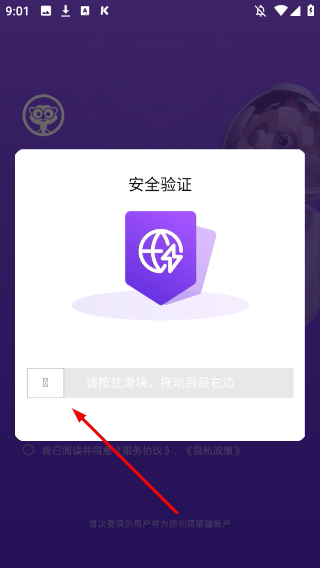 猫鼬社群