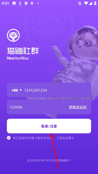 猫鼬社群