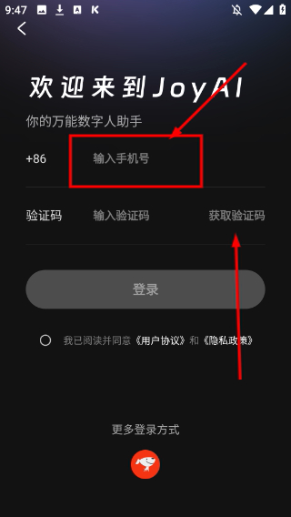 他她它