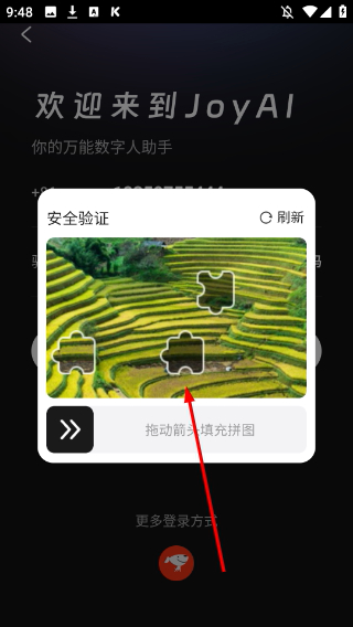 他她它