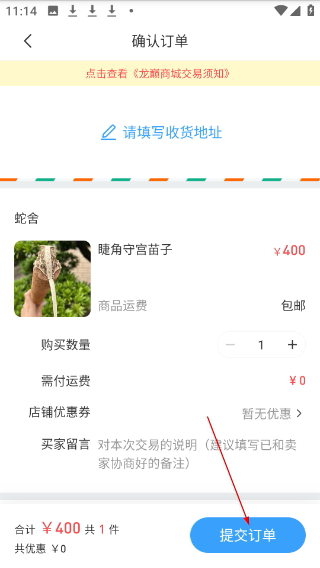龙巅