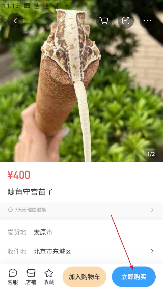 龙巅