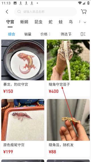 龙巅