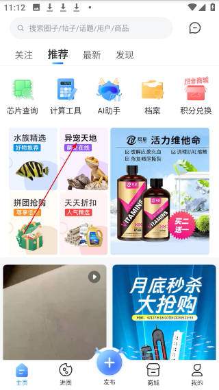 龙巅