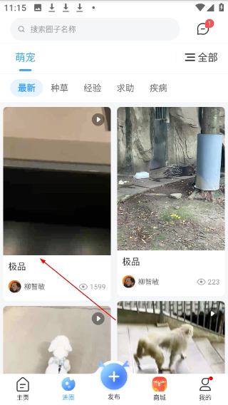 龙巅论坛