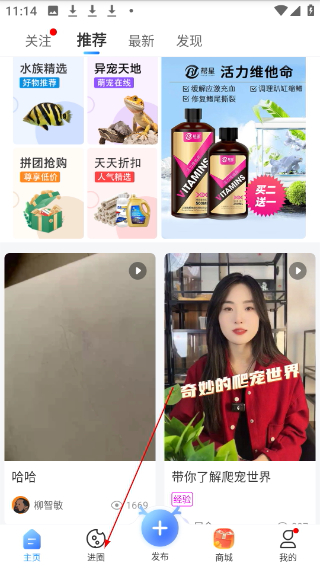 龙巅论坛