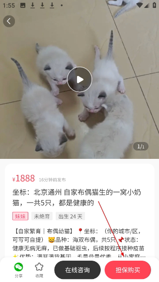 宠物宝