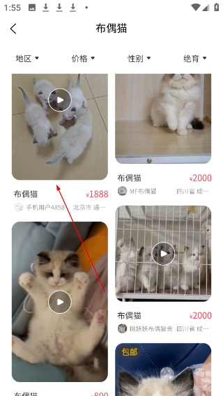宠物宝