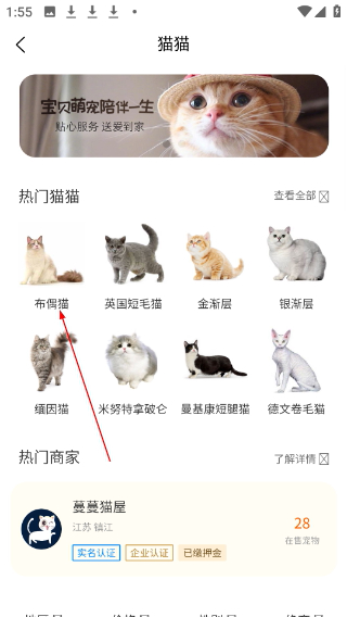 宠物宝