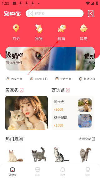宠物宝