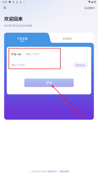 风动体育