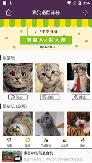 猫狗语翻译器