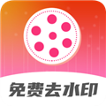 去水印视频解析